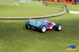 2014 ﻿﻿﻿﻿﻿DM Offroad Monster - Shortcouse